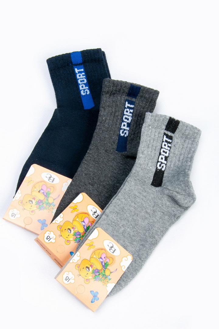 Шкарпетки для хлопчика демісезонні 